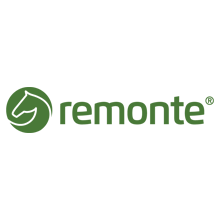 Remonte